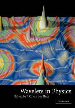Wavelets in Physics - van den Berg, J. C. (ed.)