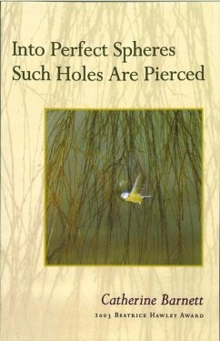 Into Perfect Spheres Such Holes Are Pierced - Barnett, Catherine