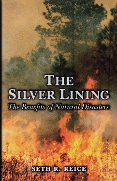 The Silver Lining - Reice, Seth R.