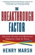The Breakthrough Factor - Bild 1