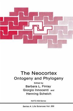 The Neocortex - Finlay, Barbara L. / Innocenti, Giorgio M. / Scheich, Henning (Hgg.)