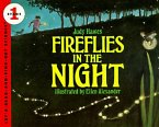 Fireflies in the Night