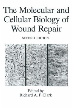 The Molecular and Cellular Biology of Wound Repair - Clark, R.A.F. (Hrsg.)