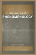 Introduction to Phenomenology - Bild 1