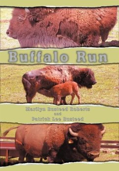 Buffalo Run - Roberts, Marilyn Busteed