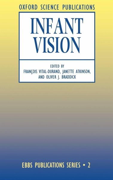 Infant Vision Infant Vision