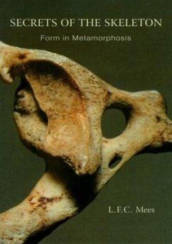 Secrets of the Skeleton: Form in Metamorphosis - Mees, L. F. C.