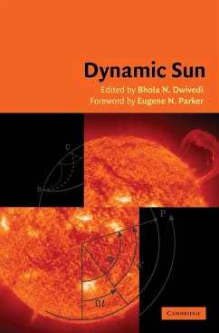 Dynamic Sun - Dwivedi, B. N. (ed.)