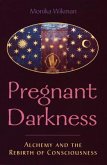 The Pregnant Darkness: Alchemy and the Rebirth of Consciousness