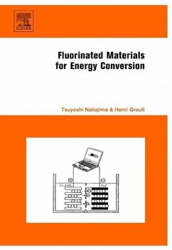 Fluorinated Materials for Energy Conversion - Nakajima, Tsuyoshi / Groult, Henri (eds.)