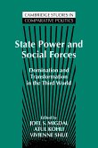 State Power and Social Forces