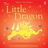 Little Dragon Little Dragon