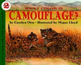 What Color Is Camouflage?