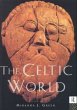 The Celtic World - Bild 1