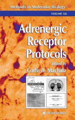Adrenergic Receptor Protocols - Machida, Curtis A. (ed.)