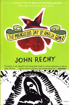 The Miraculous Day of Amalia Gómez - Rechy, John