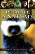 Primate Anatomy - Bild 1