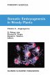 Somatic Embryogenesis in Woody Plants - Bild 1