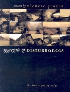 Aggregate of Disturbances - Glazer, Michele