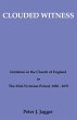 Clouded Witness - Bild 1
