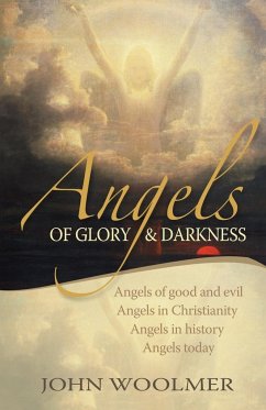 Angels of Glory and Darkness - Woolmer, John