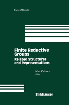 Finite Reductive Groups: Related Structures and Representations - Cabanes, Marc (Hrsg.)