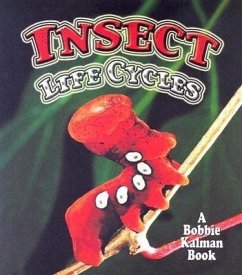 Insect Life Cycles - Aloian, Molly