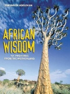 African Wisdom: 101 Proverbs from the Motherland - Adelekan, Tokunboh