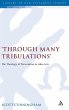 Through Many Tribulations - Bild 1