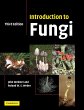 Introduction to Fungi - Bild 1