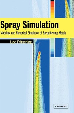 Spray Simulation - Fritsching, Udo