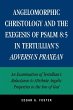 Angelomorphic Christology and the... - Bild 1