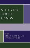 Studying Youth Gangs