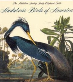 Audubon's Birds of America