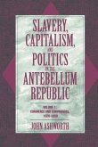 Slavery, Capitalism, and Politics in the Antebellum Republic