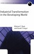 Industrial Transformation in the... - Bild 1