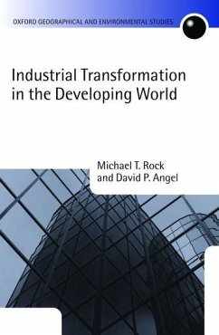 Industrial Transformation in the Developing World - Rock, Michael T. (Harvey Wexler Professor of Economics, Bryn Mawr Co; Angel, David P. (Provost and Laskoff Professor of Economics, Technol