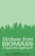 Methane from Biomass: A Systems Approach - Bild 1
