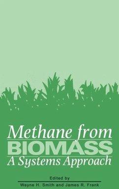 Methane from Biomass: A Systems Approach - Smith, W.H. / Frank, J.R. (Hgg.)