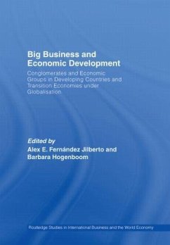 Big Business and Economic Development - Hogenboom, Barbara / Jilberto, Alex E. Fernández (eds.)