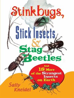 Stink Bugs, Stick Insects, and Stag Beetles - Kneidel, Sally