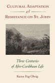 Cultural Adaptation and Resistance on St. John