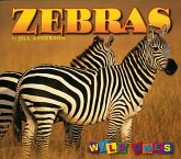 Zebras Zebras