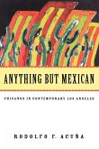 Anything But Mexican Anything But Mexican