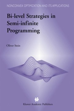 Bi-Level Strategies in Semi-Infinite Programming - Stein, Oliver