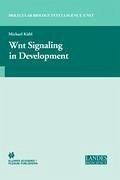 Wnt Signaling in Development - Kühl, Michael (Hrsg.)