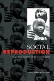 Social Reproduction Social Reproduction