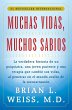 Muchas Vidas, Muchos Sabios (Many... - Bild 1