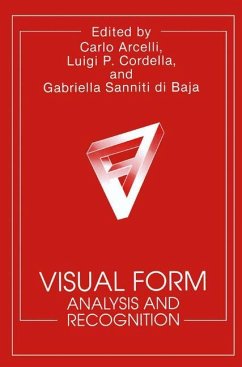 Visual Form - Arcelli, C. / Cordella, L.P. / di Baja, G.S. (Hgg.)