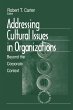 Addressing Cultural Issues in... - Bild 1